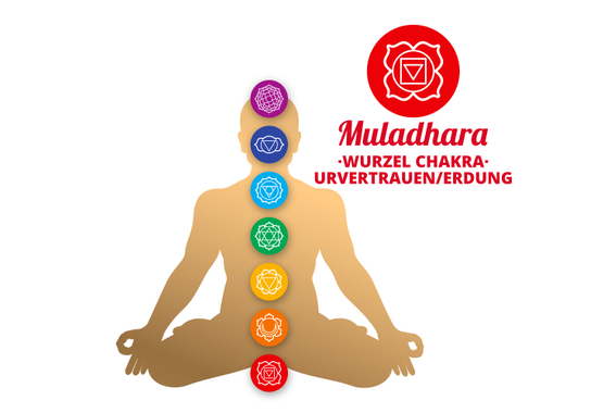 XDrum Therapeutic Klangschale Ton C / 1400 g Kissen Set image 9