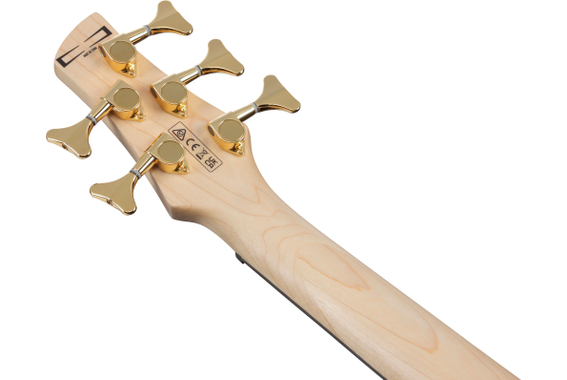 Ibanez GSR205PC-TMU Transparent Marine Burst image 9