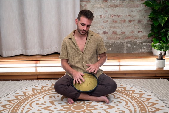 Meinl Sonic Energy 10\" Compact Steel Tongue Drum image 9