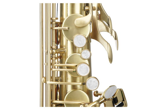 Classic Cantabile TS-450 Brushed Saxophone Ténor Sib ESM Set image 9