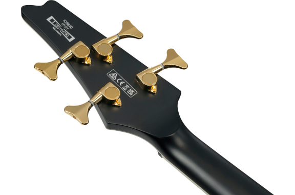 Ibanez ICB620-BKF Iceman Bass Black Flat image 9