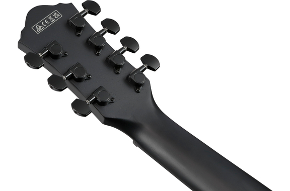 Ibanez AEG721-BOT Black Out image 9