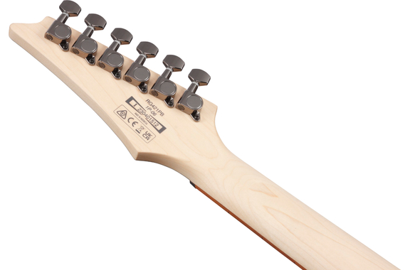 Ibanez RG421PB-CHF Caribbean Shoreline Flat image 9
