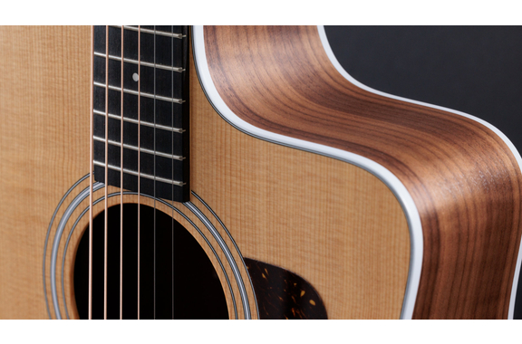 Taylor 210ce image 9