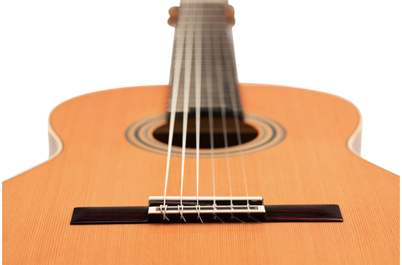 Ortega R20GRG Traditional Series 4/4 Guitare Classique image 9
