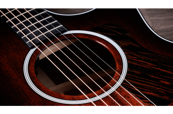 Taylor 324ce Next Generation image 9