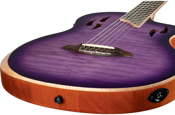 Ortega TourPlayer Special Edition image 9