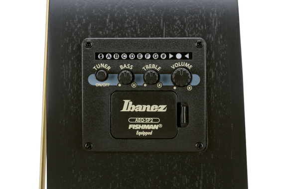 Ibanez AEWC621L-BOT Guitare Acoustique Pour Gaucher Black Out image 9