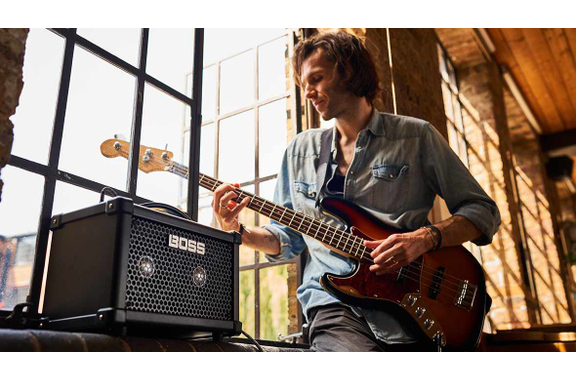 Boss Dual Cube Bass LX image 9