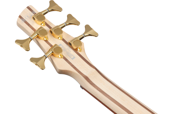 Ibanez SR305EDX-FDM Bajo Eléctrico Frozen Gold Matte image 9