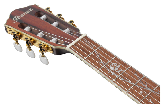 Ibanez TOD10N-TKF Gitaar Transparent Black Flat image 9