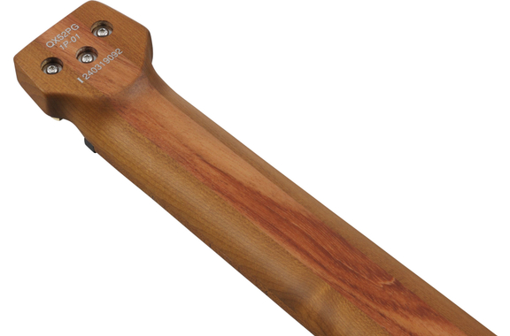 Ibanez MGFM10-OBL Chitarra Elettrica Signature image 9