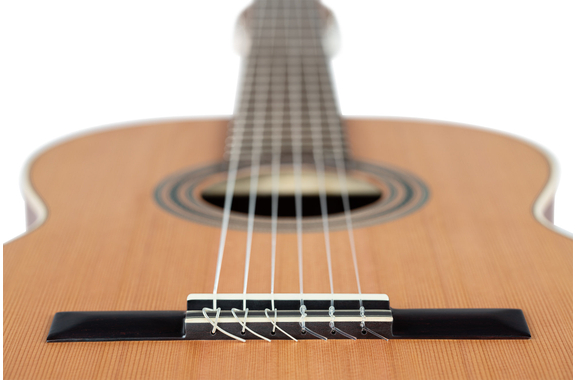 Ortega R18SSN Traditional Series Chitarra Classica 4/4 image 9