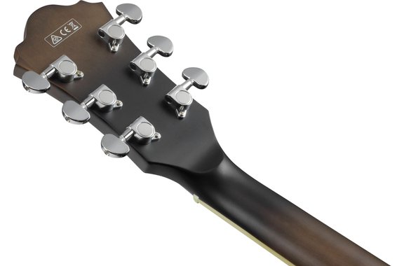 Ibanez AS53-TKF Transparent Black Flat image 9