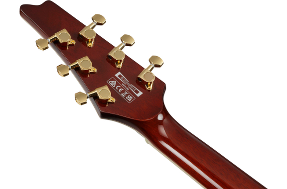 Ibanez IC420-CGM Iceman Coral Green Metallic image 9