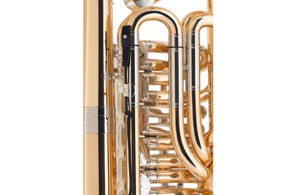 B&S F-Tuba 3100WG Jens Björn Larsen image 9