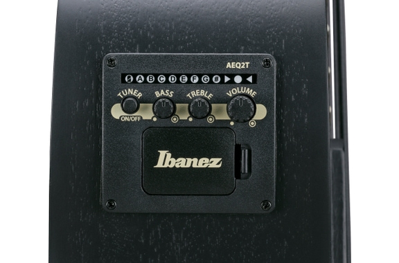 Ibanez AEGB420-BOT Acoustic Bass Black Out image 9