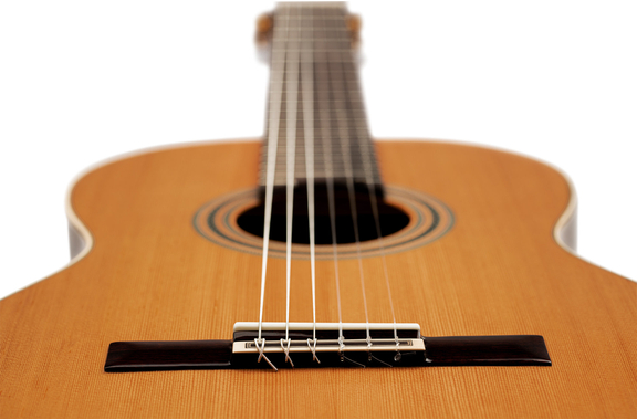 Ortega R20GWN Traditional Series 4/4 Guitare Classique image 9