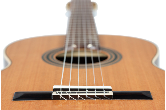 Ortega R20GSNWN Traditional Series 4/4 Guitare Classique image 9